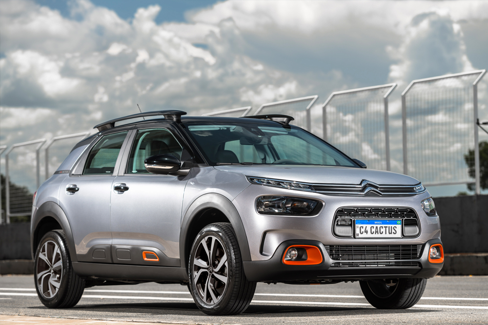 C4 Cactus