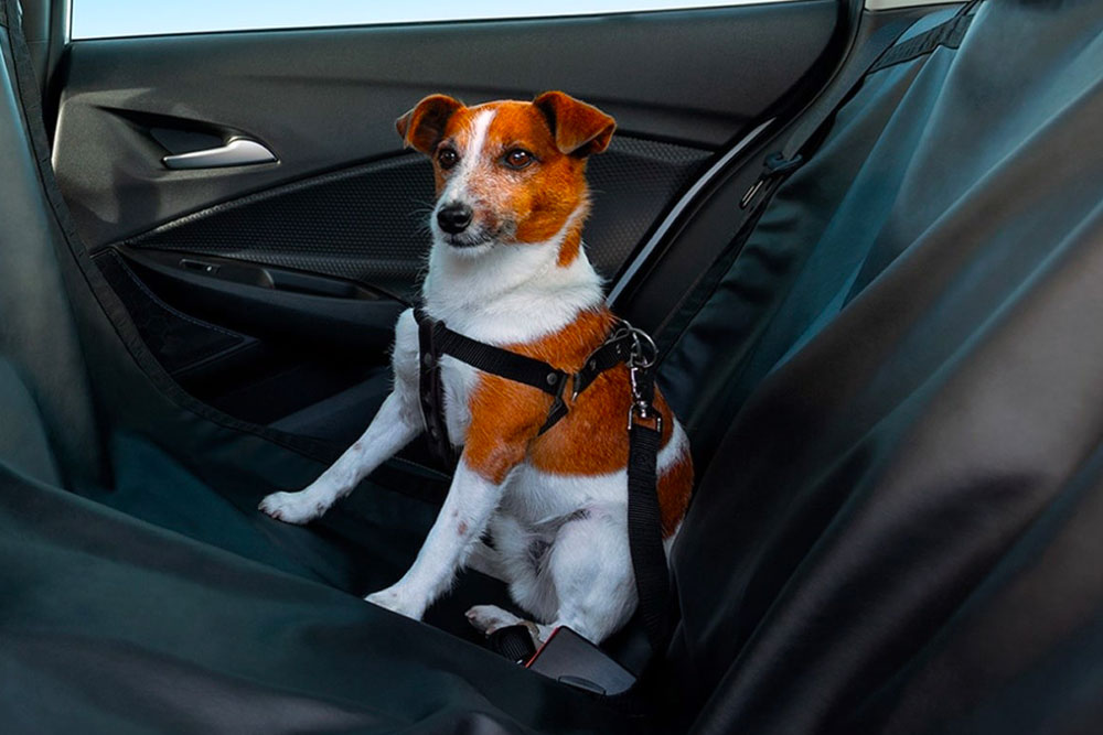 OnStar